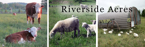 Riverside Acres Farm